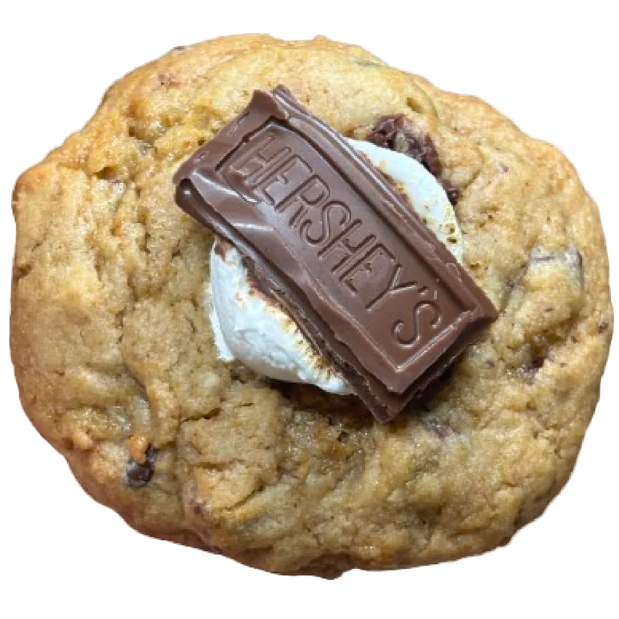 Campfire S'more