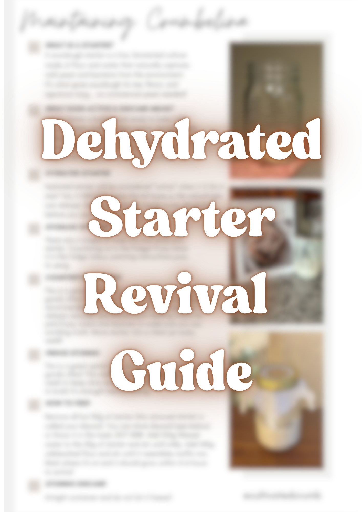 Dehydrated Starter Revival Guide