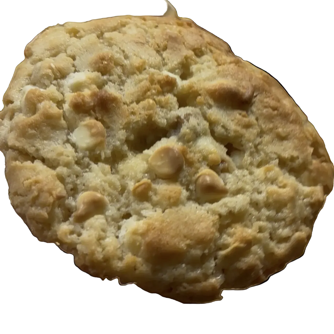 White Chocolate Macadamia Nut