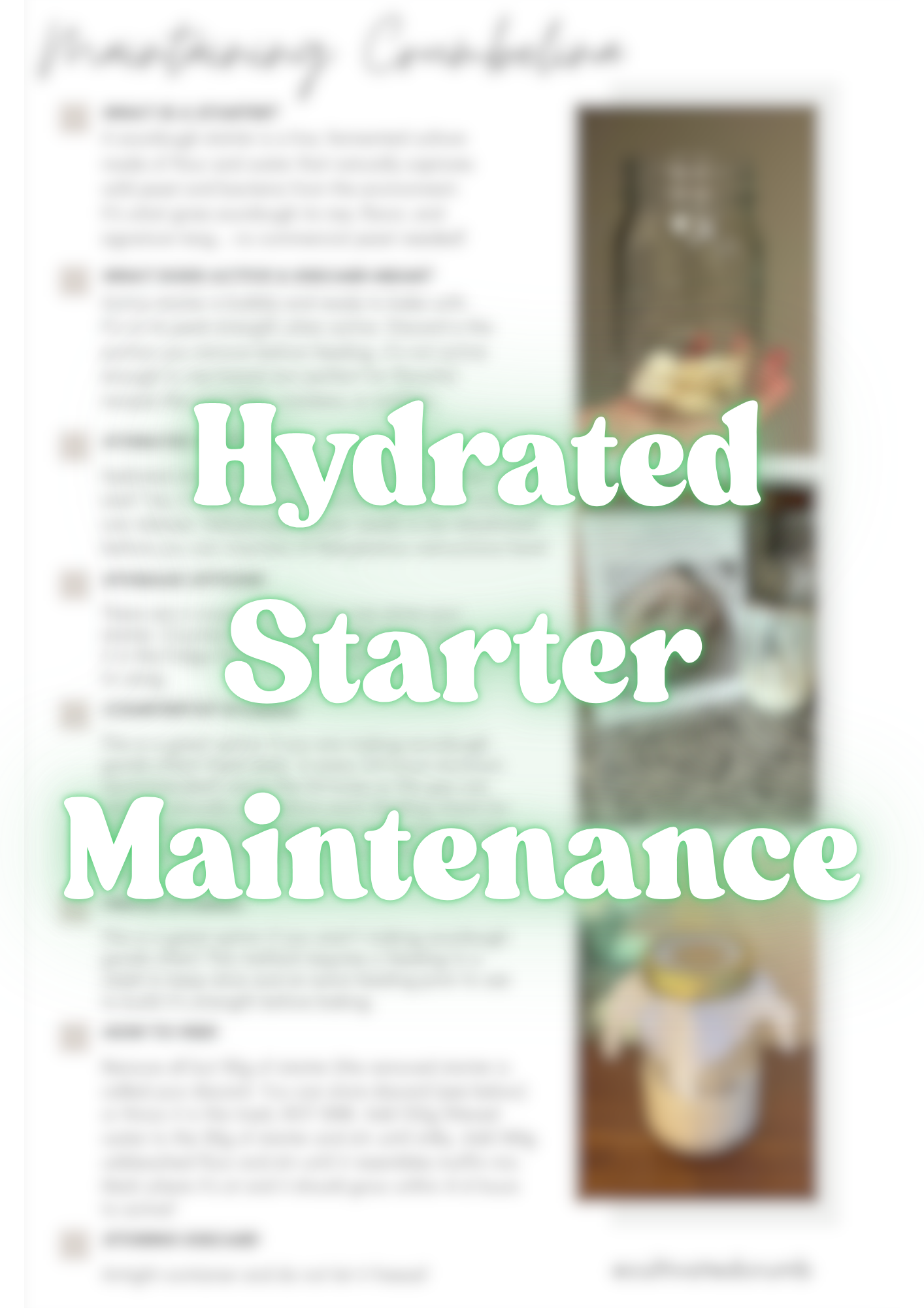 Starter Maintenance Guide: Maintaining Crumbelina